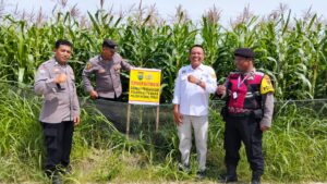 Polsek Medang Deras Dukung Ketahanan Pangan Melalui Program Cooling System