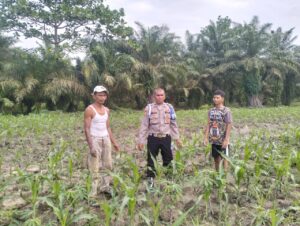 Polsek Indrapura Dukung Program Ketahanan Pangan, Cek Lahan Percontohan di Laut Tador