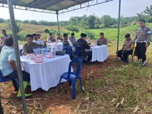 Panen Jagung Program Ketahanan Pangan di Desa Mangkai Lama, Batu Bara