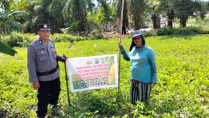 Polsek Medang Deras Dukung Ketahanan Pangan, Pantau Tanaman Warga