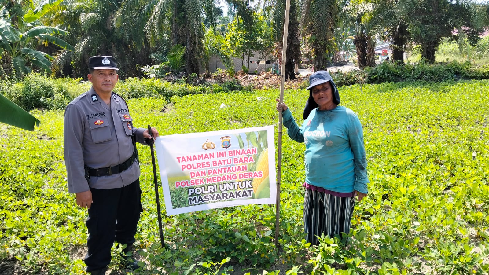 Polsek Medang Deras Dukung Ketahanan Pangan, Pantau Tanaman Warga