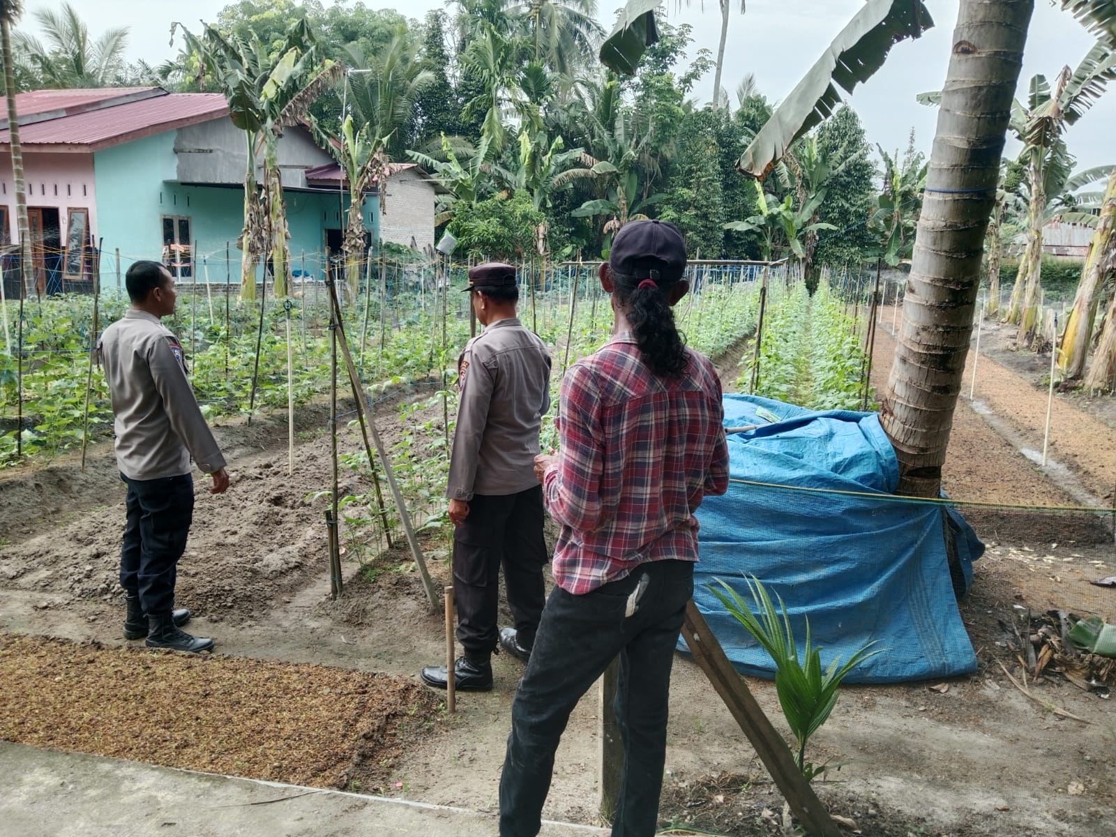 Sat Binmas Polres Batu Bara Pantau Keberhasilan Program Ketahanan Pangan di Desa Air Itam