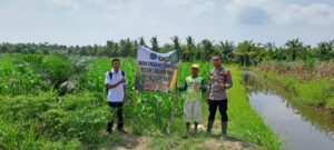 Bhabinkamtibmas Polsek Medang Deras Berkolaborasi dengan Warga Tingkatkan Ketahanan Pangan