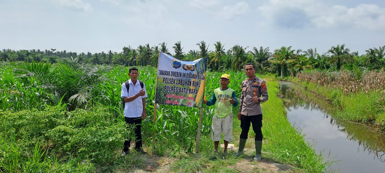 Bhabinkamtibmas Polsek Medang Deras Berkolaborasi dengan Warga Tingkatkan Ketahanan Pangan