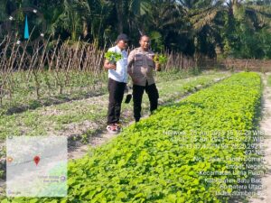Bhabinkamtibmas Polsek Lima Puluh Sukses Koordinasi dan Pengecekan Lahan Pekarangan Warga