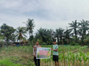 Bhabinkamtibmas Polsek Medang Deras Dukung Ketahanan Pangan Desa Cengkring Pekan