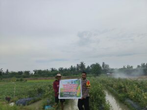Bhabinkamtibmas Polsek Medang Deras Dorong Ketahanan Pangan Melalui Pengolahan Pekarangan di Desa Cengkring Pekan