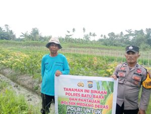 Bhabinkamtibmas Polsek Medang Deras Sukses Koordinasikan Pengolahan Pekarangan untuk Ketahanan Pangan