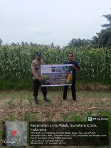 Bhabinkamtibmas Polsek Lima Puluh Dorong Ketahanan Pangan di Desa Perupuk