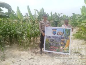 Sat Intelkam Polres Batu Bara Dorong Ketahanan Pangan Melalui Pemanfaatan Pekarangan di Desa Pematang Rambai