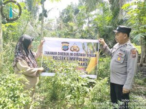 Personil Polsek Lima Puluh Koordinasikan Pengembangan Lahan Ketahanan Pangan di Desa Sumber Makmur