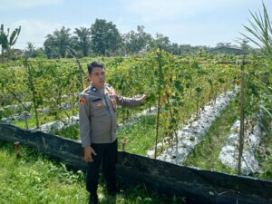 Personel Bag Ops Polres Batu Bara Berpartisipasi dalam Program Ketahanan Pangan di Desa Tanah Timbul