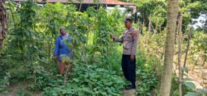 Polisi Satu Desa Dorong Ketahanan Pangan Melalui Pemanfaatan Pekarangan di Desa Pelanggiran Laut Tador