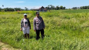Polsek Medang Deras Optimalkan Lahan Kosong untuk Ketahanan Pangan di Desa Sei Raja