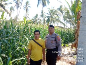 Polsek Labuhan Ruku Dorong Ketahanan Pangan Melalui Optimalisasi Lahan Pertanian di Desa Tanjung Mulia