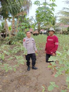 Polsek Labuhan Ruku Dukung Ketahanan Pangan Melalui Program Pekarangan Bergizi