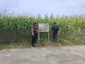 Polsek Medang Deras Dukung Ketahanan Pangan Nasional Melalui Program Cooling System