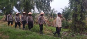 Panen Raya Jagung di Desa Bagan Baru: Dukungan Nyata untuk Ketahanan Pangan Nasional
