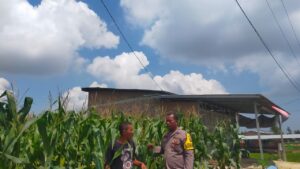 Polsek Medang Deras Dukung Ketahanan Pangan Nasional melalui Optimalisasi Lahan Pekarangan