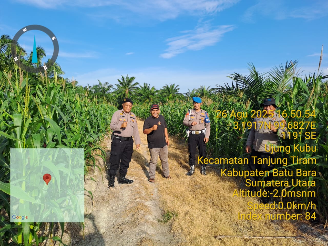 Kapolsek Labuhan Ruku Cek Ketahanan Pangan Polri dengan Menanam Jagung