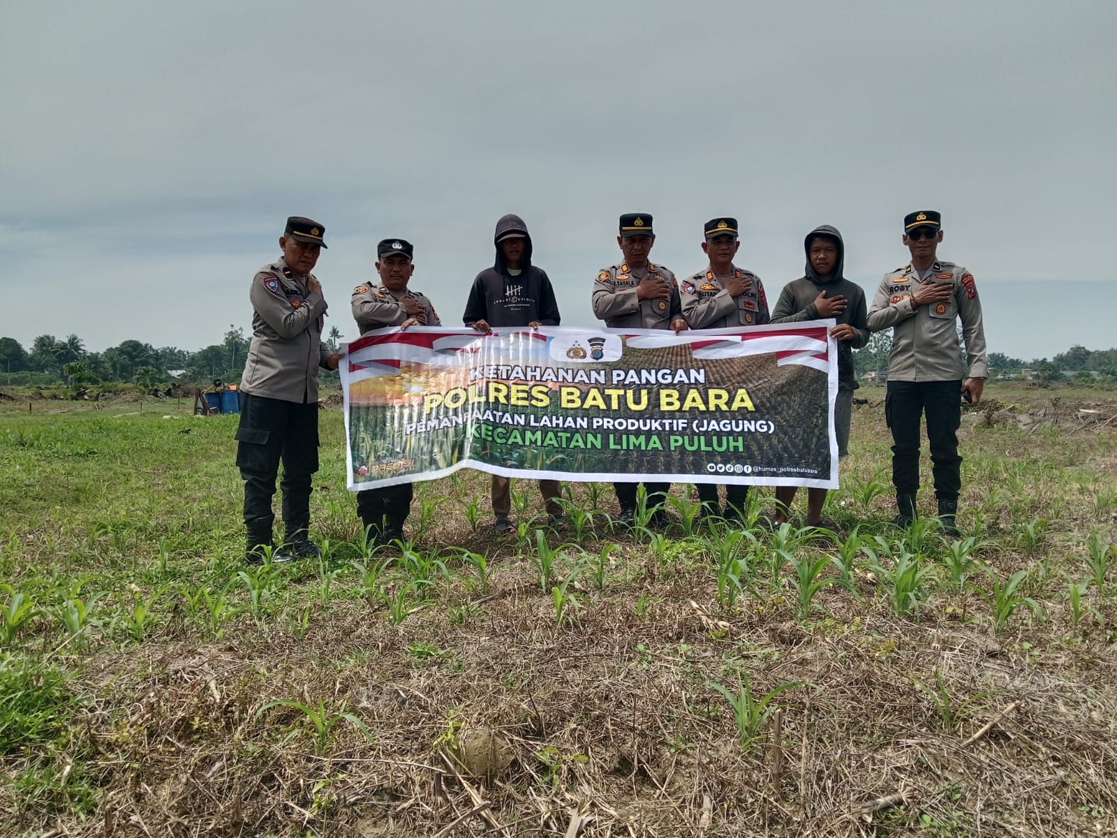 Polres Batu Bara Dukung Ketahanan Pangan, Kasat Binmas dan Kapolsek Limapuluh Cek Lahan Jagung