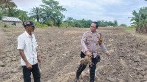 Bhabinkamtibmas Polsek Indrapura Cek Lahan Jagung, Dukung Ketahanan Pangan