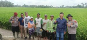 Kapolsek Labuhan Ruku Gelar Cooling System, Dukung Swasembada Pangan di Desa Sukorejo