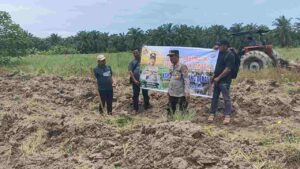 ‎Kapolsek Medang Deras Sambangi Lahan Jagung, Beri Dukungan Petani ‎