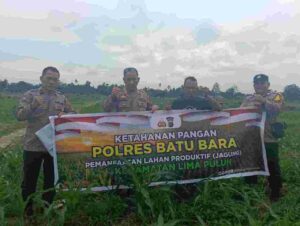 Polsek Lima Puluh Monitoring Penanaman Jagung, Dukung Ketahanan Pangan di Batu Bara