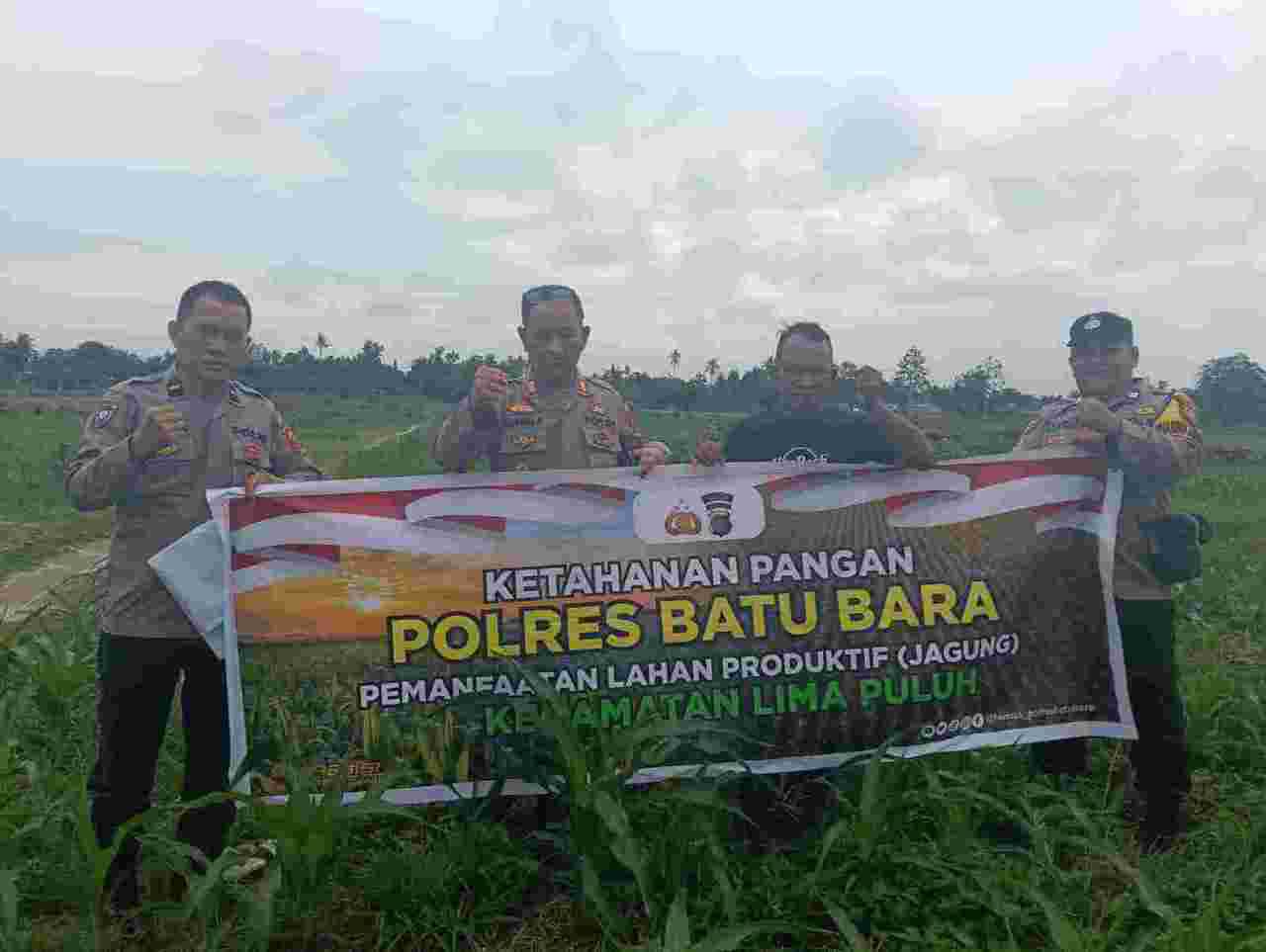 Polsek Lima Puluh Monitoring Penanaman Jagung, Dukung Ketahanan Pangan di Batu Bara