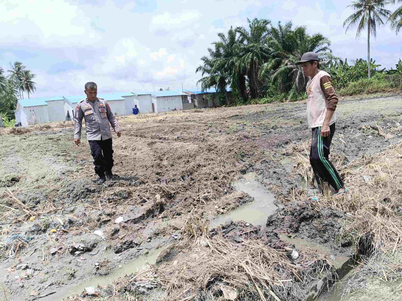 Polsek Indrapura Dampingi Pengolahan Lahan Ketahanan Pangan Jagung di Desa Titi Payung