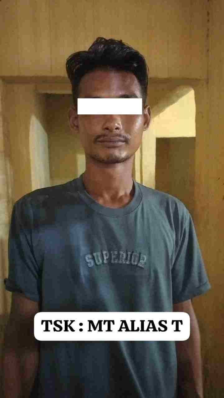 Curi Kelapa, Pria di Batu Bara Ngamuk dan Ancam Bunuh Korban dengan Parang, Polisi Bertindak Cepat