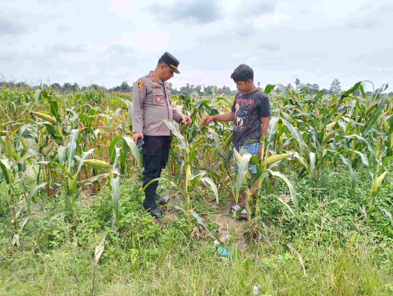 Polsek Lima Puluh Gerakkan Warga Olah Lahan, Dukung Ketahanan Pangan dengan Pemanfaatan Pekarangan