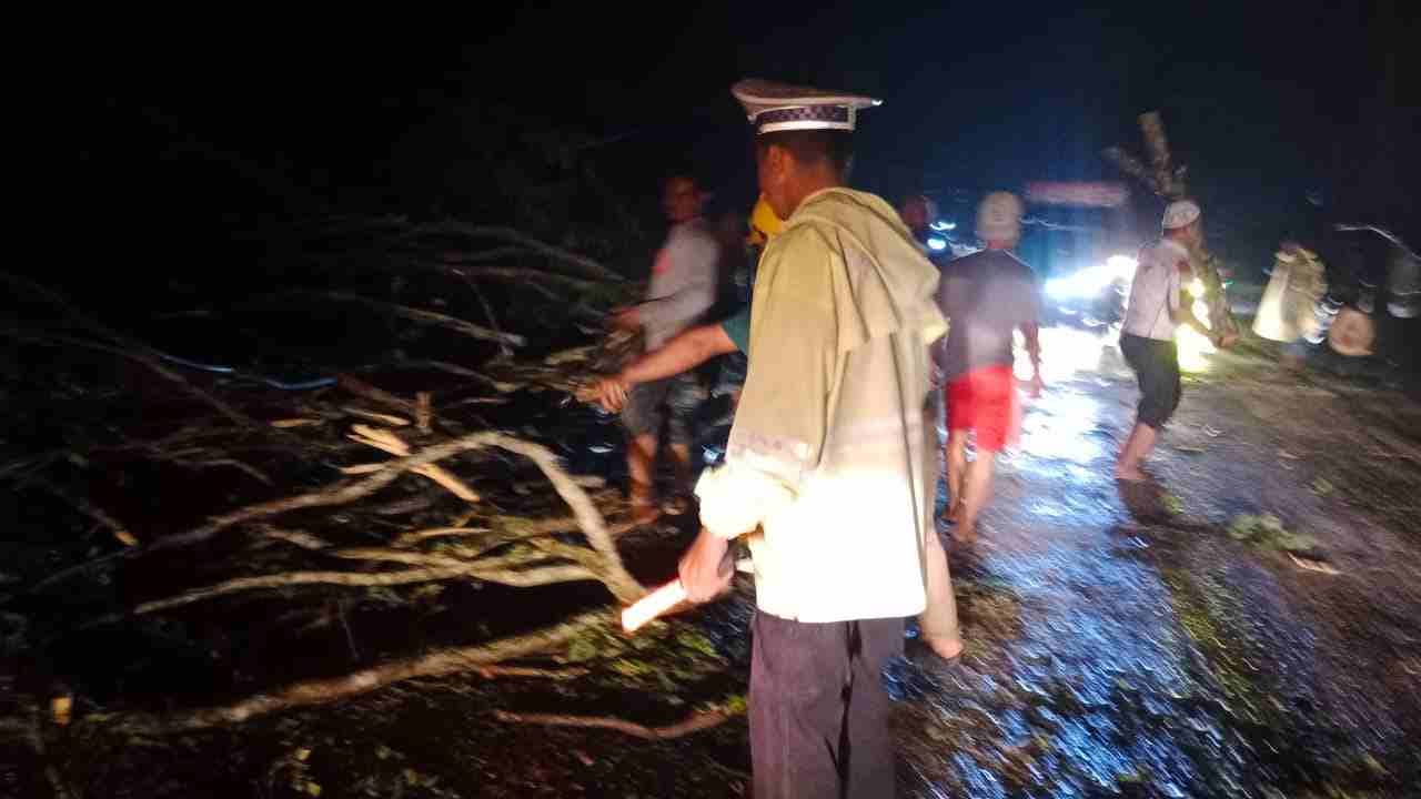 Sat Lantas Polres Batu Bara Evakuasi Pohon Tumbang di Jalinsum Tanjung Kasau, Arus Lalu Lintas Kembali Lancar