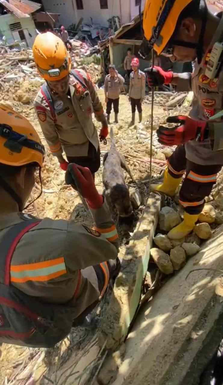 Unit K-9 SAR Korsabahara Baharkam Polri, Temukan Titik Indikasi Korban di Reruntuhan Masjid Sibolga