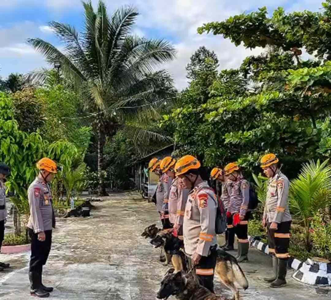Ditpolsatwa Korsabhara Baharkam Polri dan Polda Sumut, Kerahkan Anjing Pelacak K-9 Cari Korban Bencana di Tapanuli Tengah