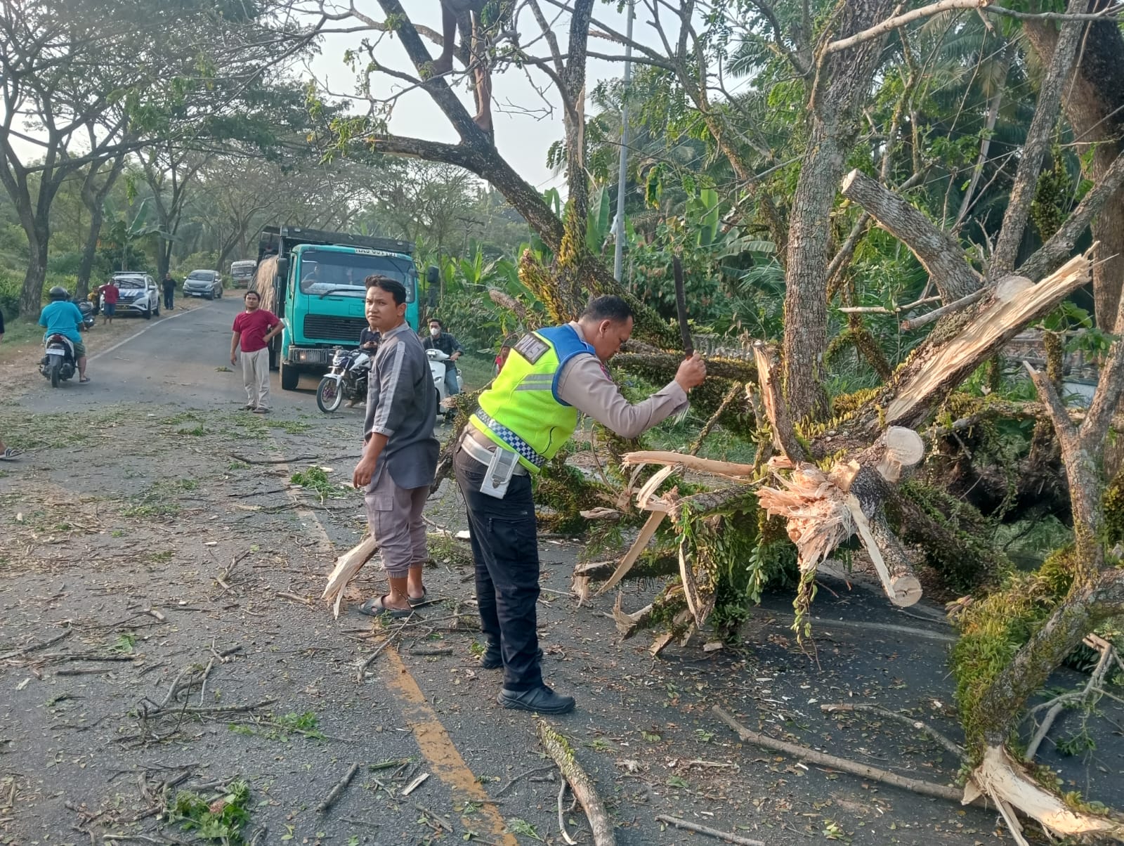 Akses Jalan Kembali Lancar, Sat Lantas Polres Batu Bara Evakuasi Pohon Tumbang di Sumber Padi