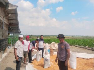 Polres Batu Bara Optimalkan Potensi Lokal, 12 Ton 237 Kg Jagung Disalurkan ke Bulog Demi Ketahanan Pangan