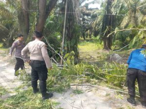 Personil Pos Pam Sei Bejangkar tangani pohon tumbang, aliran lalu lintas kembali lancar